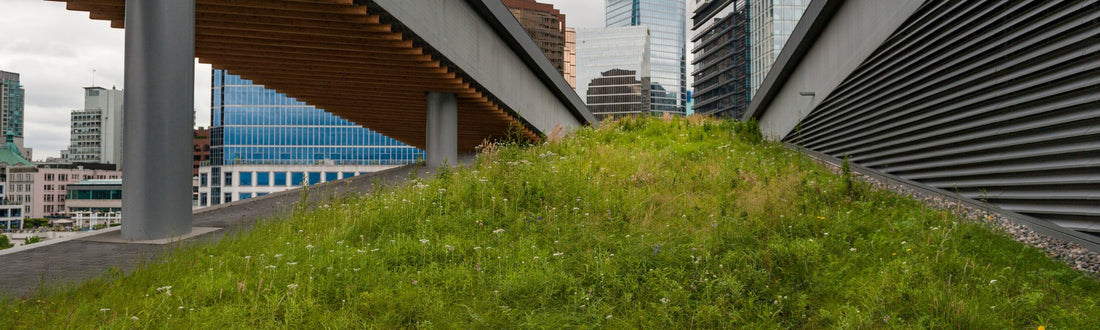 Green Roof Laws and Regulations in the UK - GreenComposites