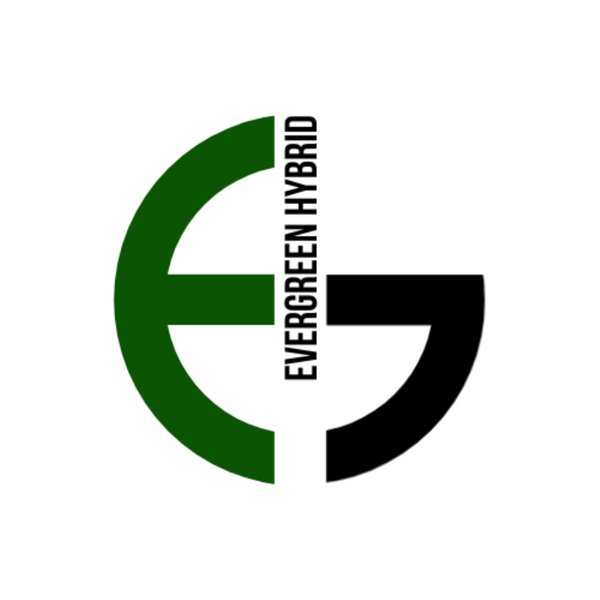 EverGreen Hybrid Hardener 1kg - GreenComposites